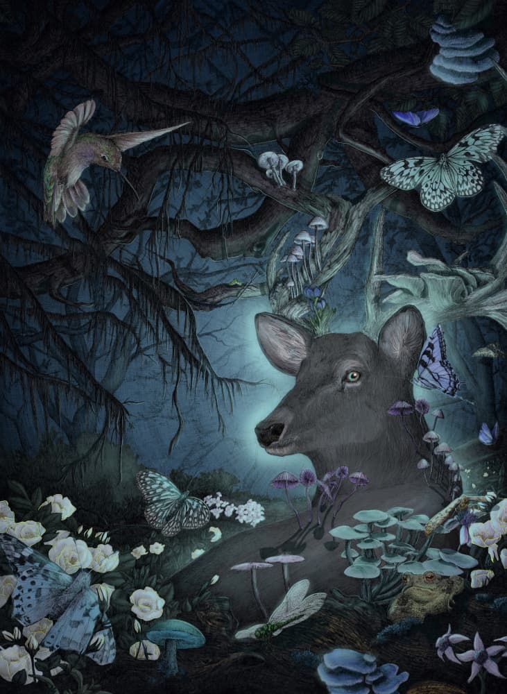 Enchanted Forest Deer