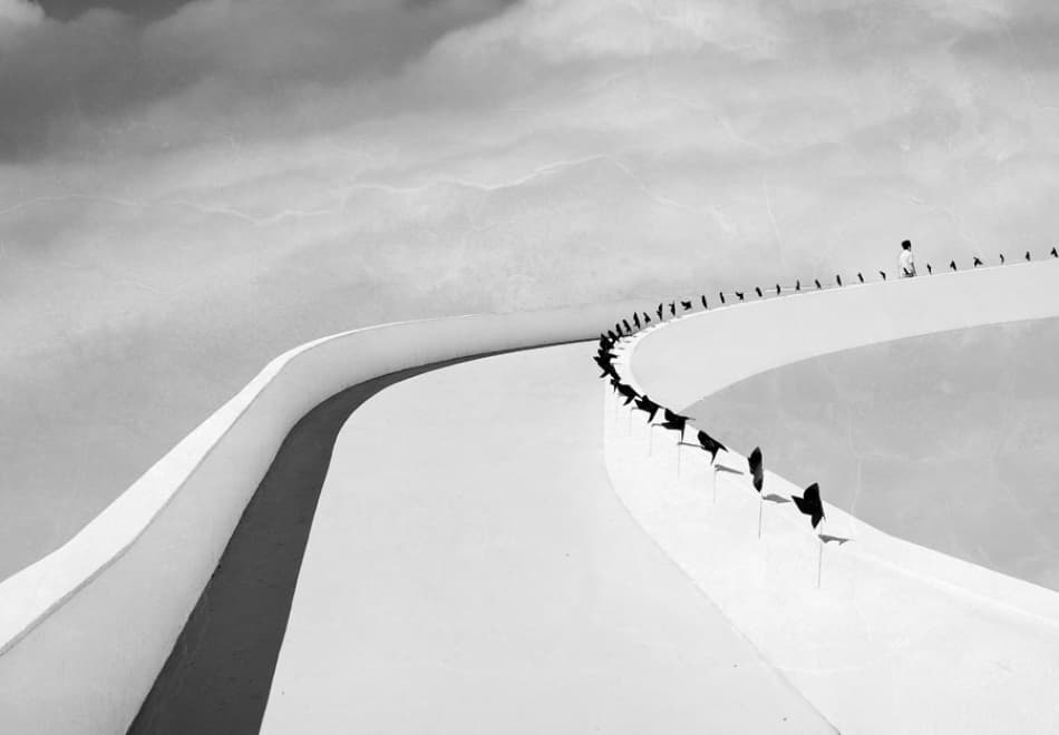 White Path Black Birds by Cesar March — canvas wall art