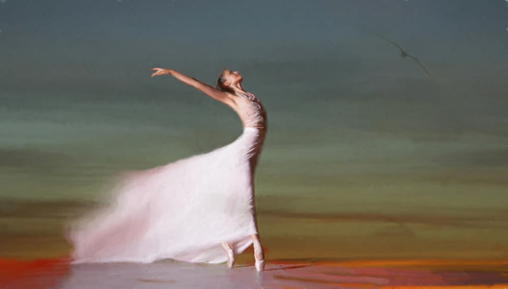 Born for free by Rachel Pansky — canvas wall art