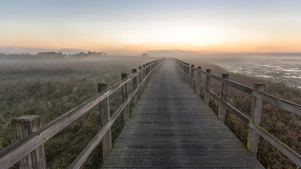 Misty Morning Boardwalk by Leif Løndal — canvas wall art