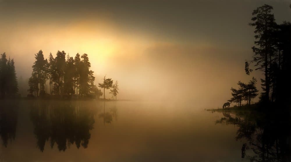 Misty Lake Serenity by Todor Tanev — canvas wall art