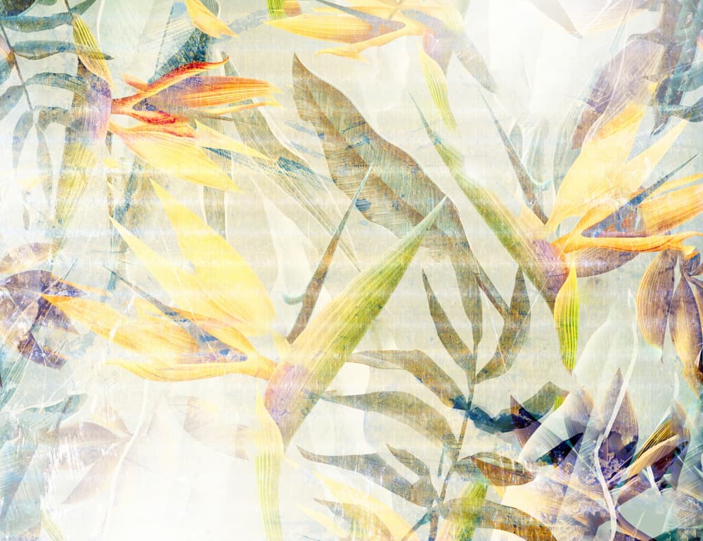Soft Tropical Layers by Rafal Kulik — canvas wall art