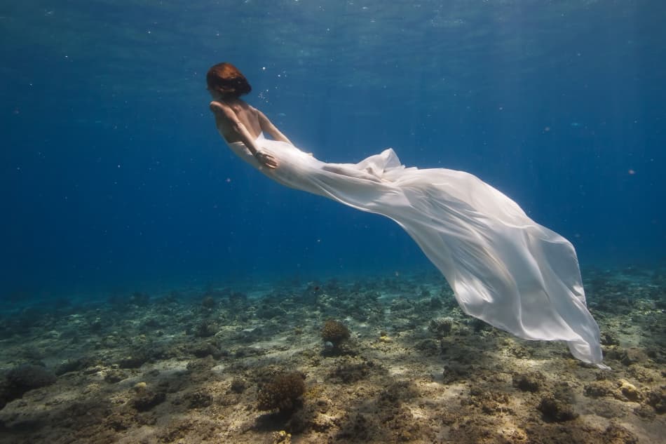 Serene Underwater Flow by Assaf Gavra — canvas wall art