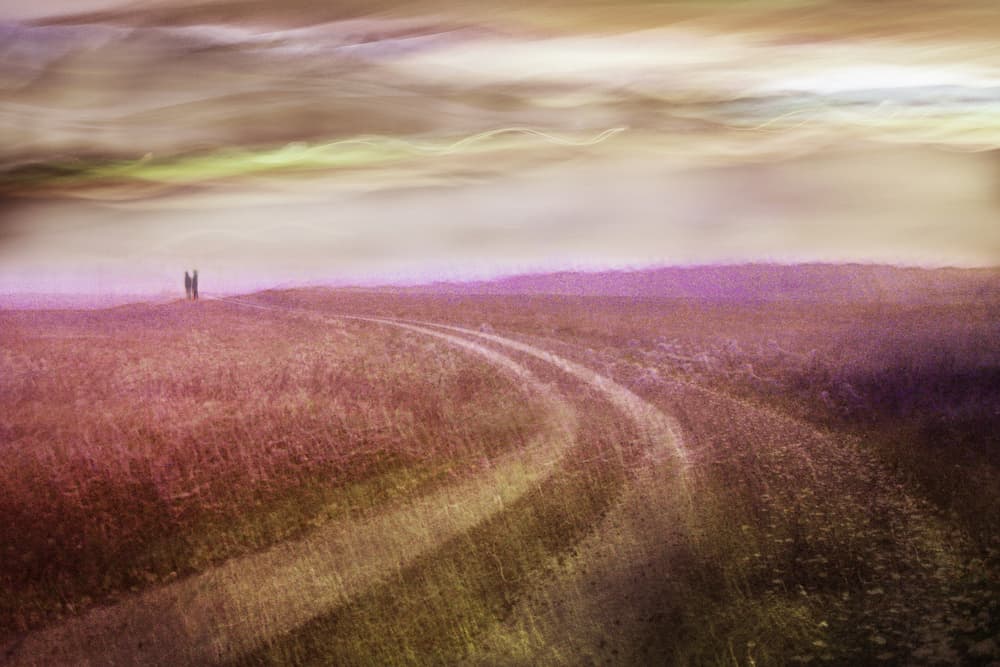 Romantic Field Path by Christina Sillèn — canvas wall art