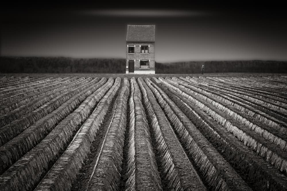 Isolated House Field by Luc Vangindertael (laGrange) — canvas wall art