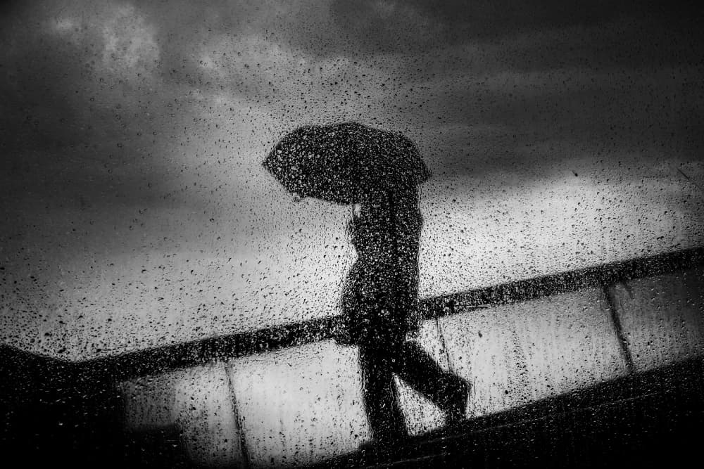 Solitary Walk In Rain by Damijan Sedevcic — canvas wall art