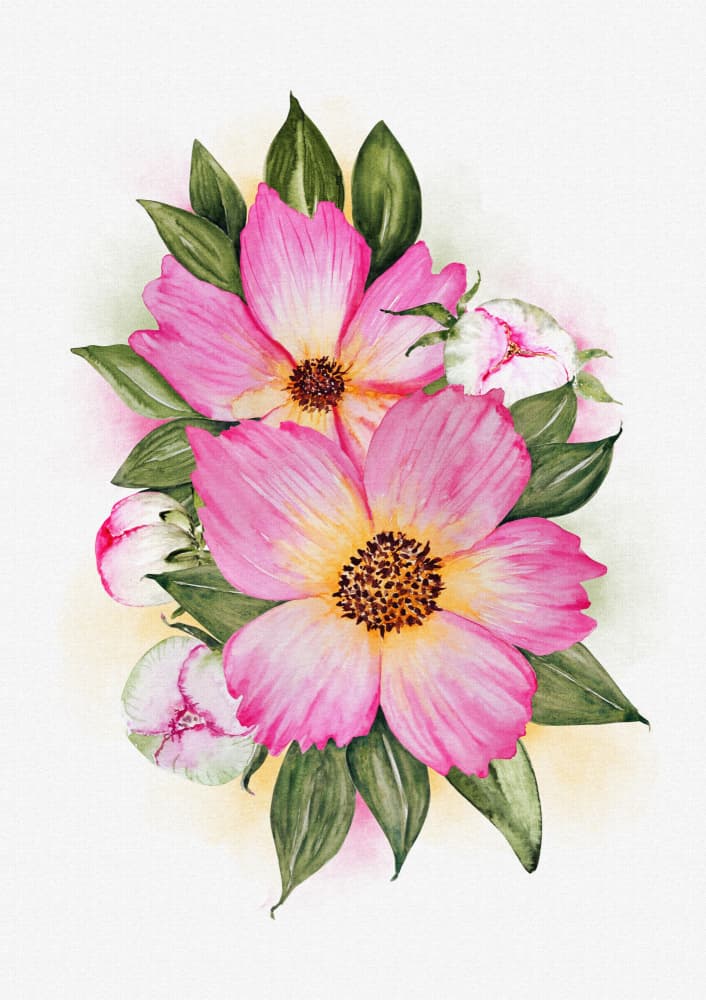 Pink Petal Blooms by Olena Kovalova — canvas wall art