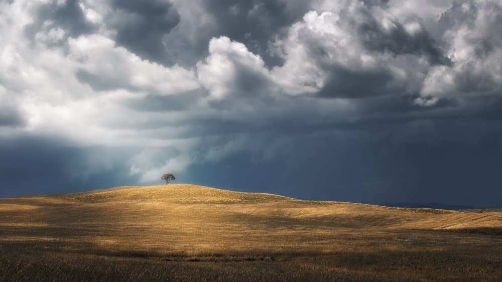 Solitary Tree Dramatic Sky by Thomas de Franzoni — canvas wall art