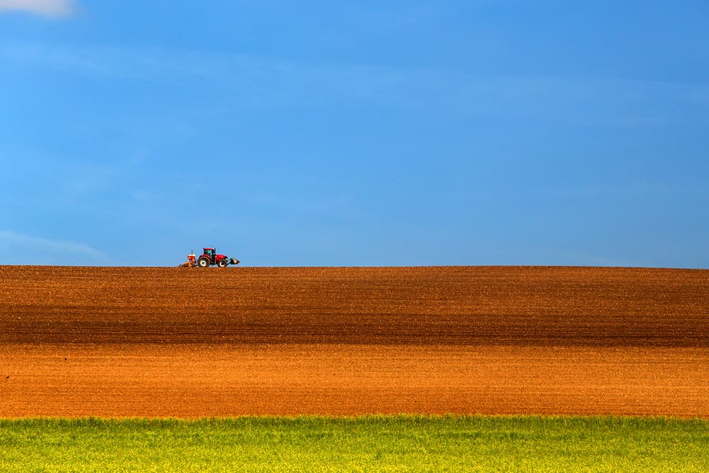 Plowing Under Blue Sky by Massimo Della Latta — canvas wall art