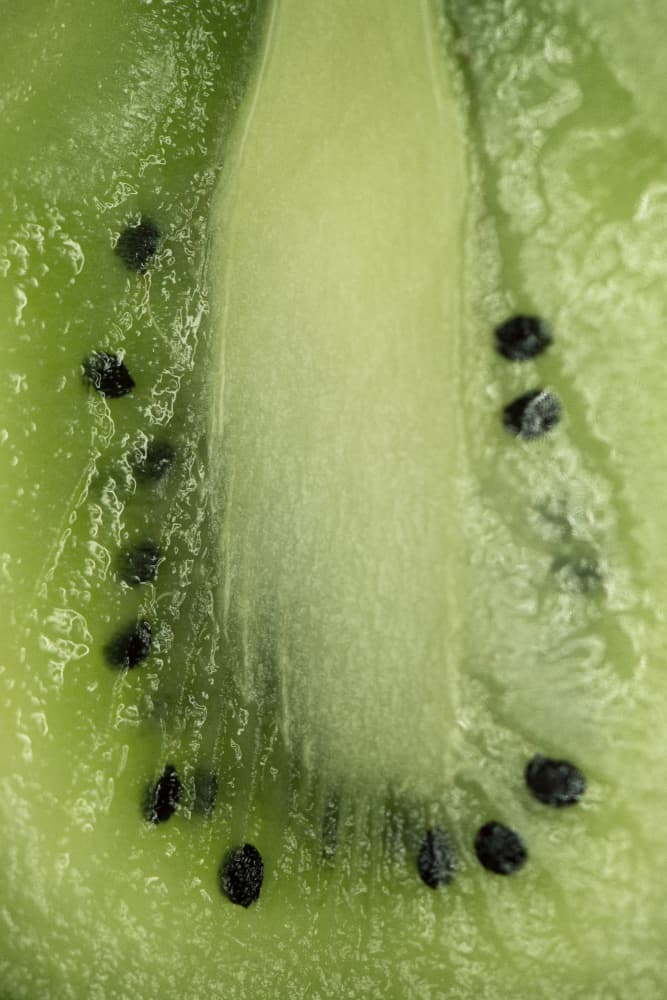Kiwi Fruit Close-up by Lynann Colligan — canvas wall art