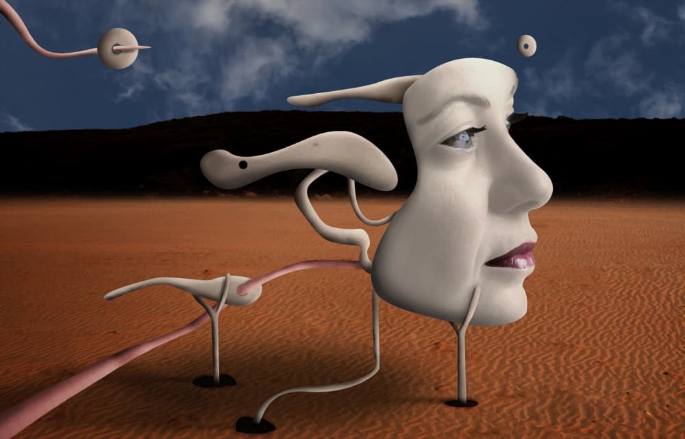 Surreal Desert Face by Alessandro Petrini — canvas wall art