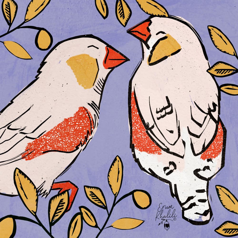 Two Gentle Finches by Erum Khalili — canvas wall art
