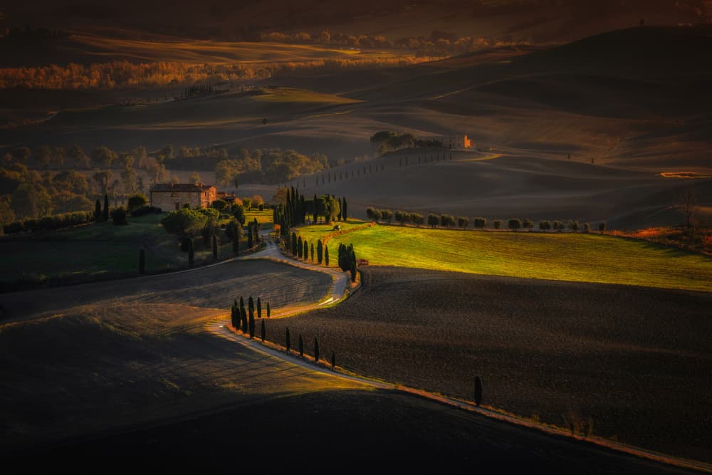 Tuscan Morning Light by Leechee Z — canvas wall art