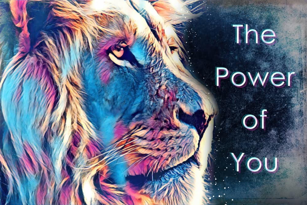 Lion of Inner Power by Rafal Kulik — canvas wall art