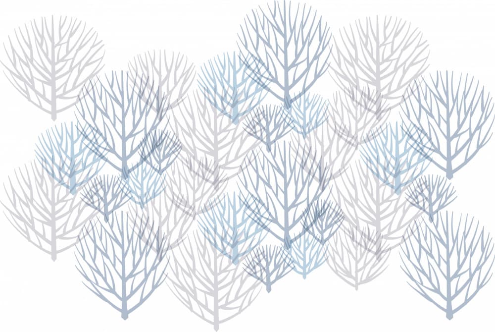 Serene Winter Forest by Aia Ueno — canvas wall art