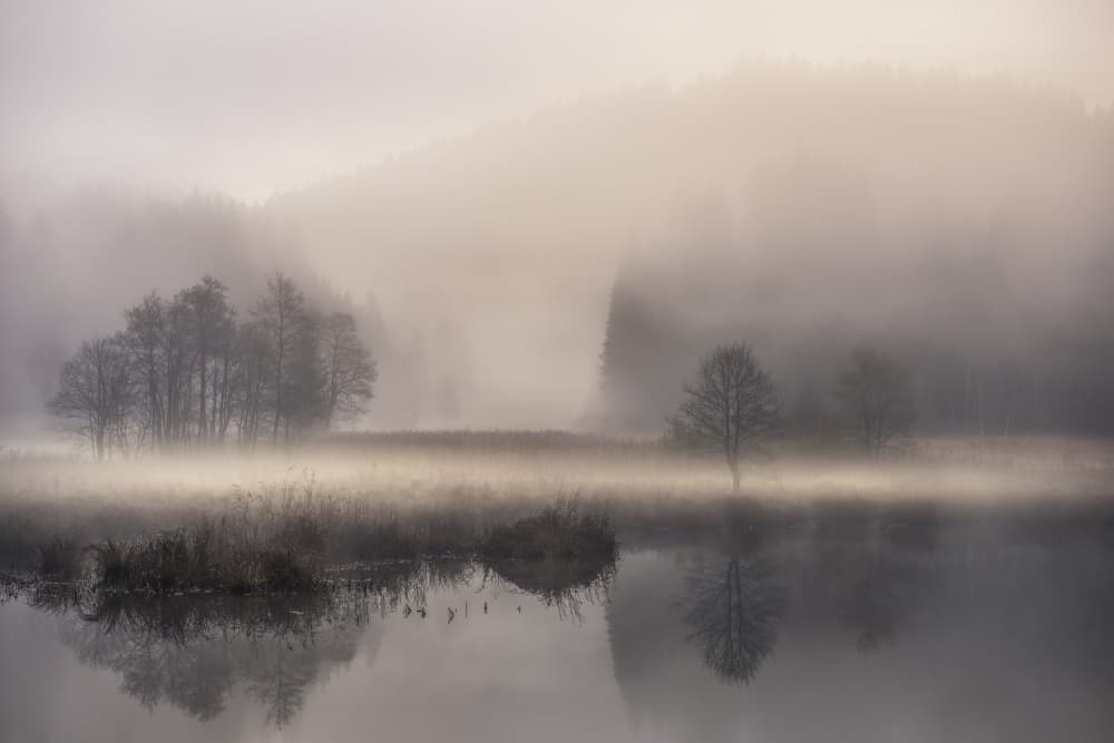 Misty Lake Morning by Nina Pauli — canvas wall art