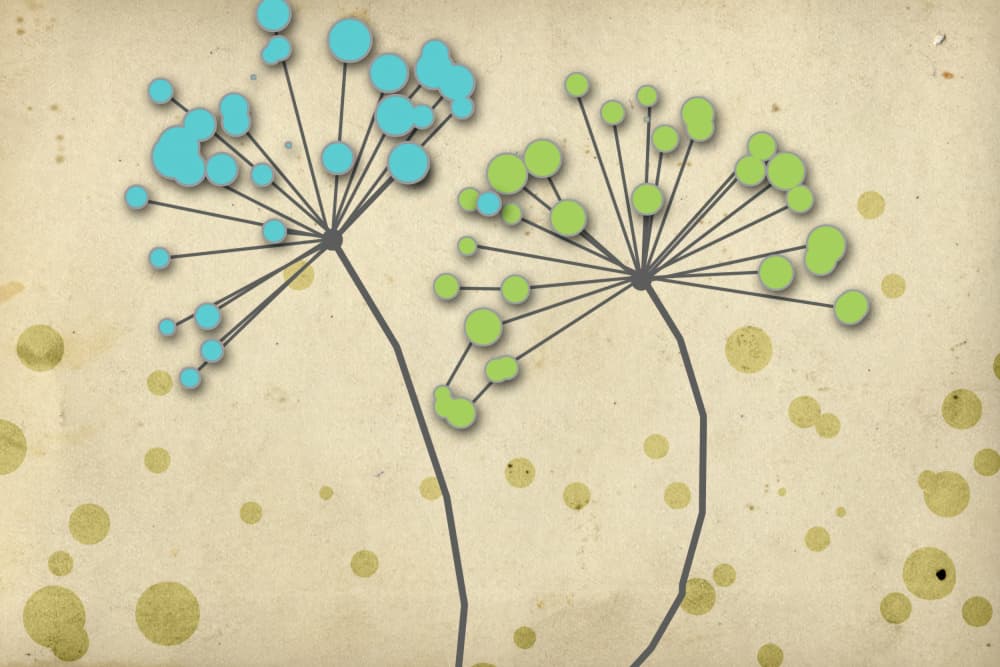 Modern Dandelion Blooms by Rafal Kulik — canvas wall art