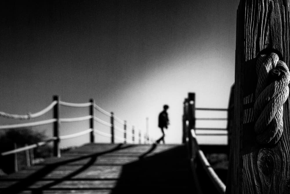 Solitary Boardwalk Journey by Laura Mexia — canvas wall art