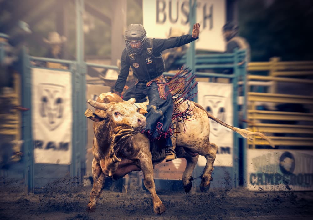 Intense Bull Riding by Robert Zhang — canvas wall art