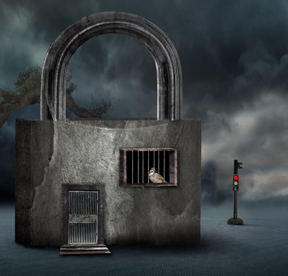 Dark Lock And Bird by Biao Huang — canvas wall art