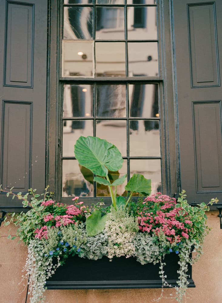 Charleston Blooms by Bethany Young — canvas wall art