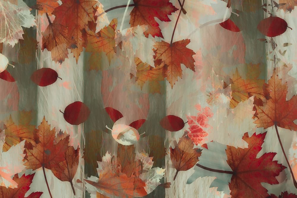 Welcome autumn by Nel Talen — canvas wall art