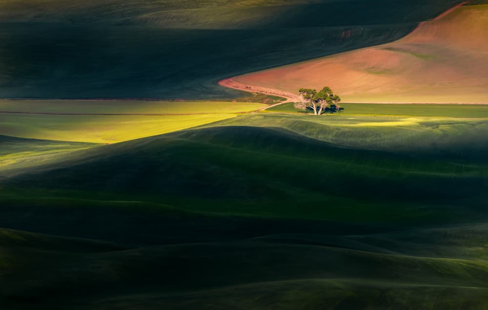 Golden Light Rolling Hills by James Lu — canvas wall art