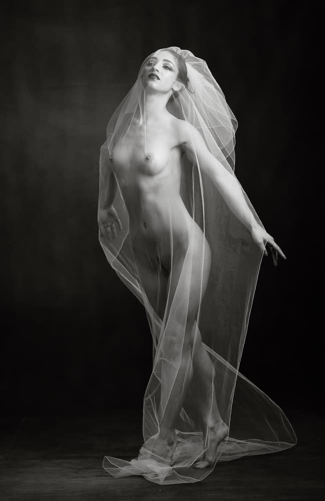 Ethereal Veiled Nude by Catchlight Studio — canvas wall art