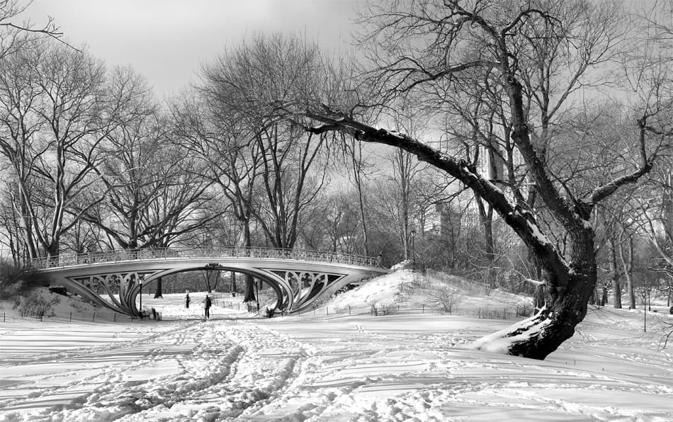 Snowy Park Arch Bridge by Mariuca Brancoveanu — canvas wall art