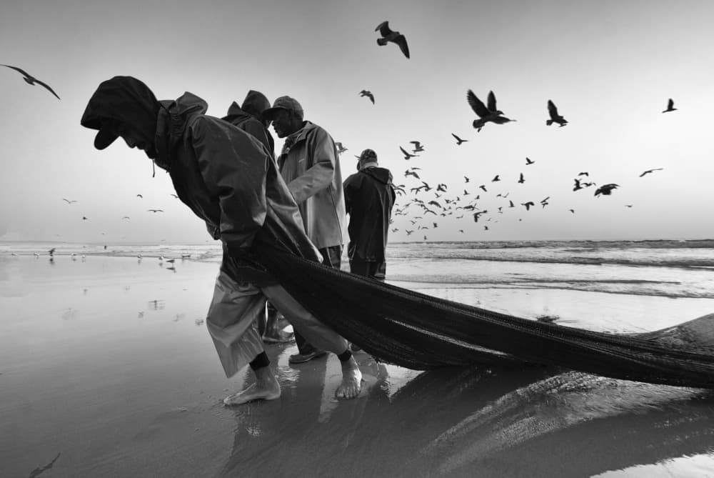 Coastal Fishing Haul by Josefina Melo — canvas wall art