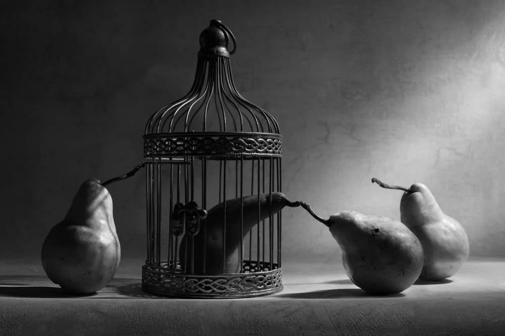 Still Life Caged Pear by Victoria  Glinka — canvas wall art