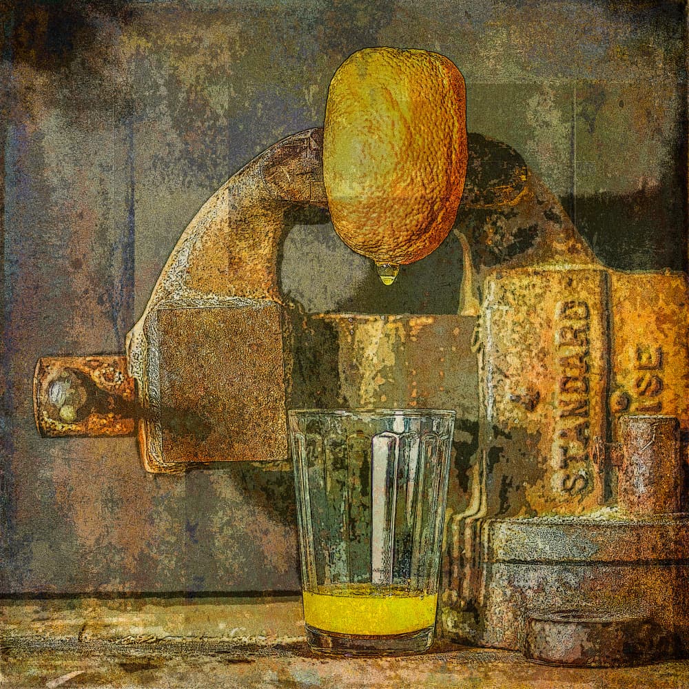 Rustic Lemon Press by Leonid Yermoshkin — canvas wall art
