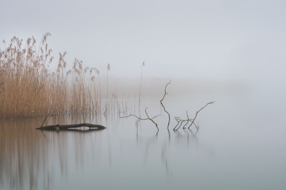 Misty Lake Stillness by Ulrike Eisenmann — canvas wall art