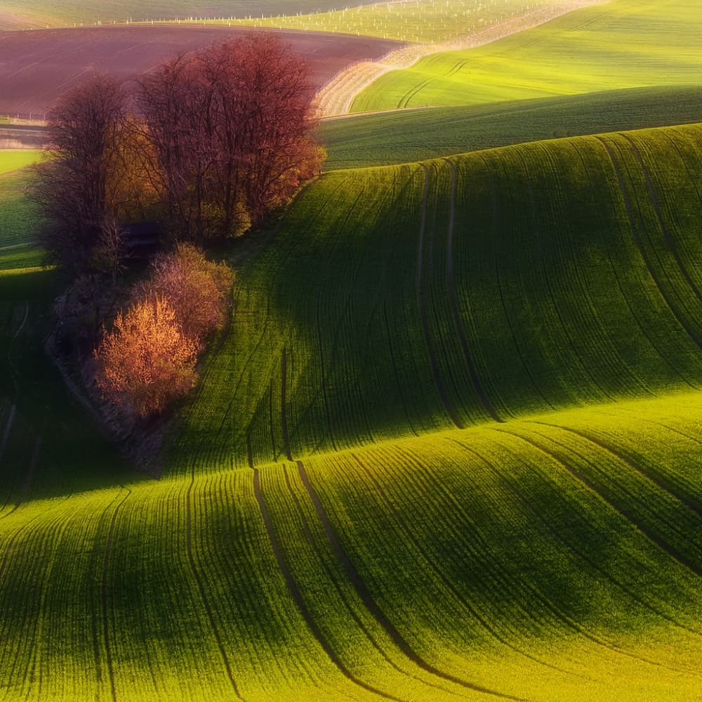Rolling Green Hills by Piotr Krol (Bax) — canvas wall art