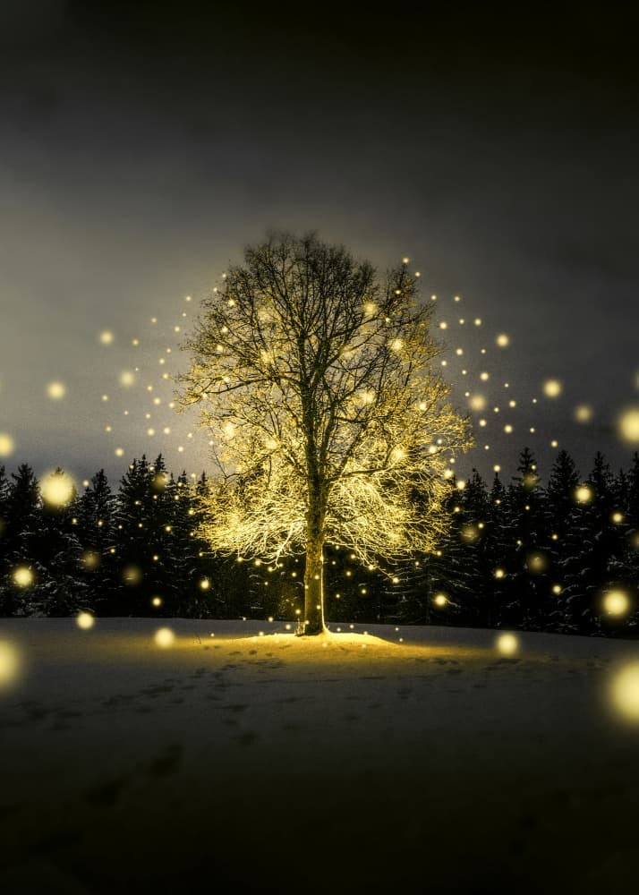 Enchanted Winter Tree by Ariz Rab — canvas wall art