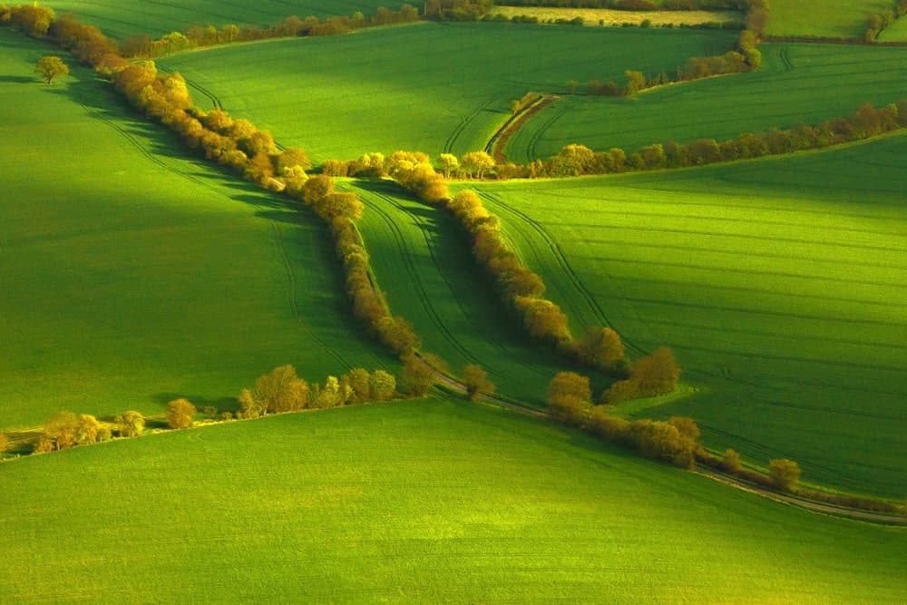 Sunlit Country Fields by Petar Sabol — canvas wall art