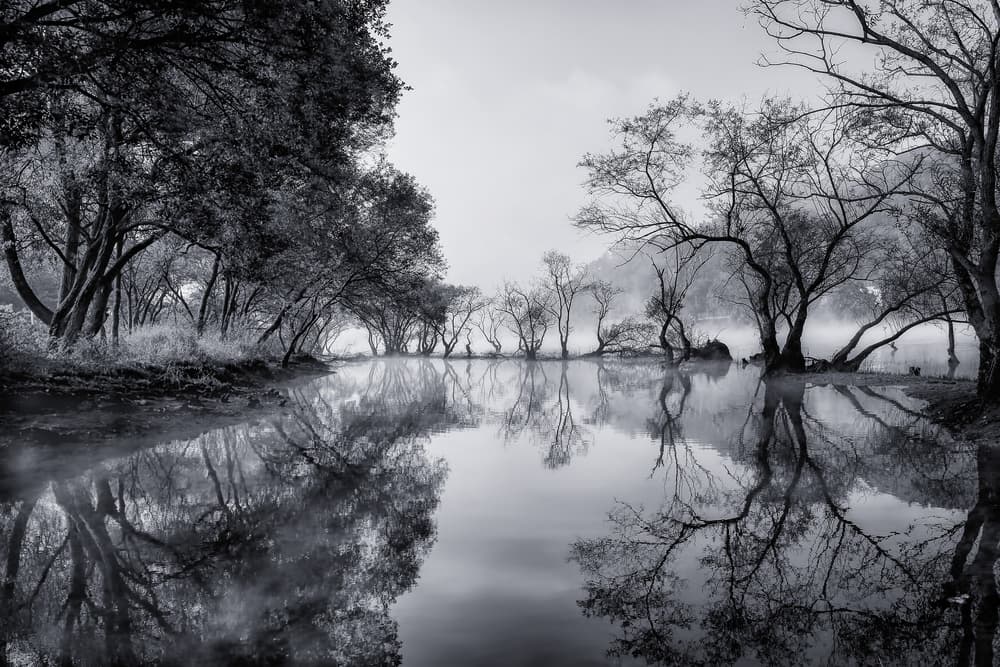 Misty Lake Reflections by Tiger Seo — canvas wall art