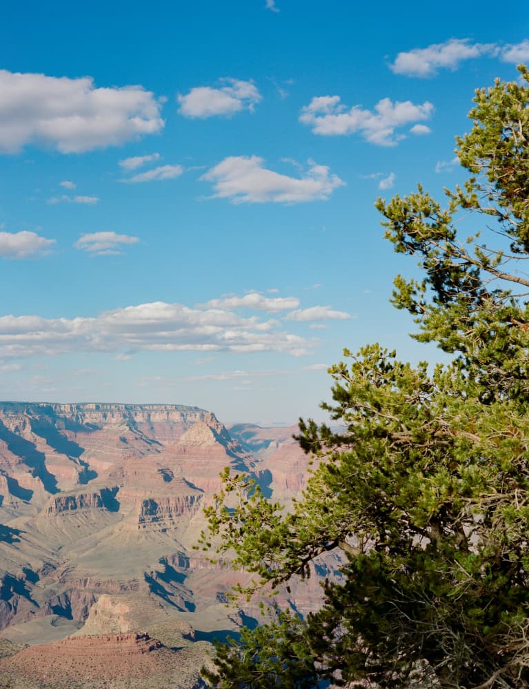Majestic Grand Canyon View by Bethany Young — canvas wall art