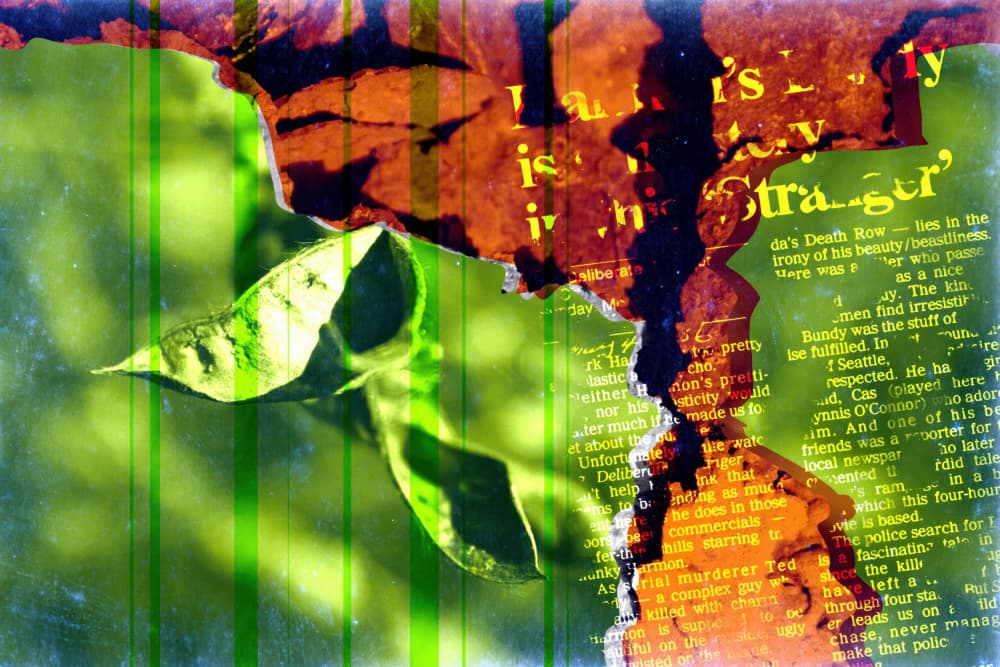 Green Leaf Text Collage by Rafal Kulik — canvas wall art