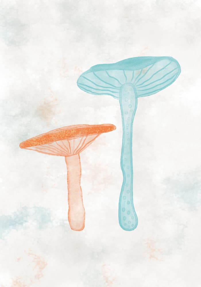 Whimsical Watercolor Mushrooms by Gulcihan Ozguc — canvas wall art