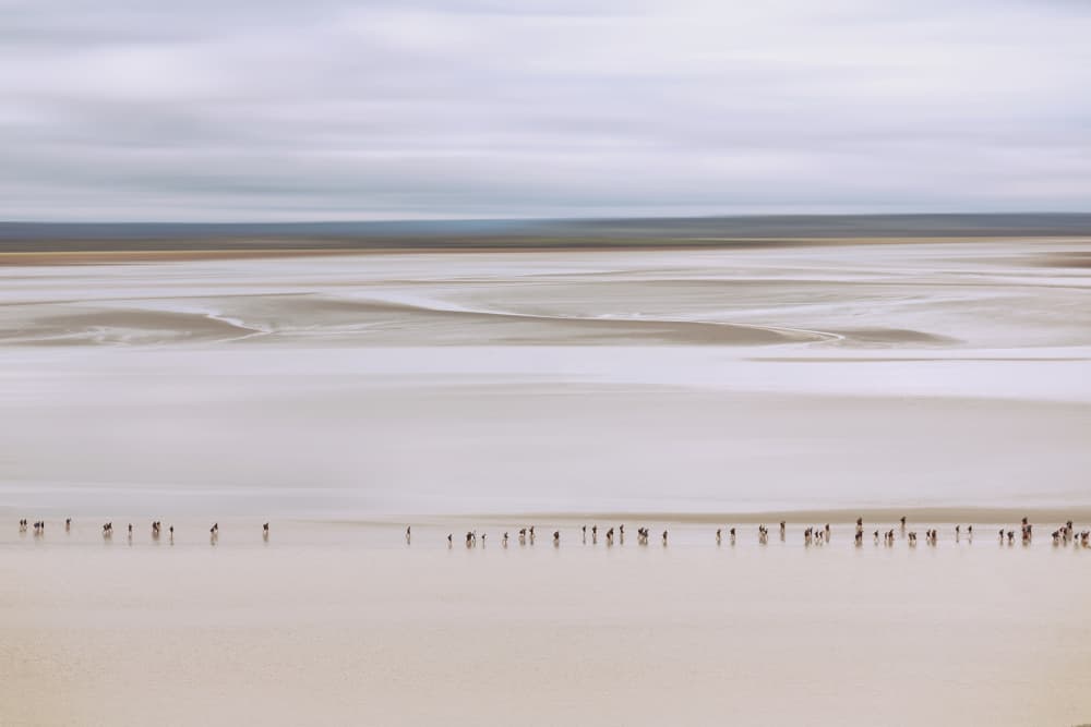 Serene Beach Walkers by Uschi Hermann — canvas wall art
