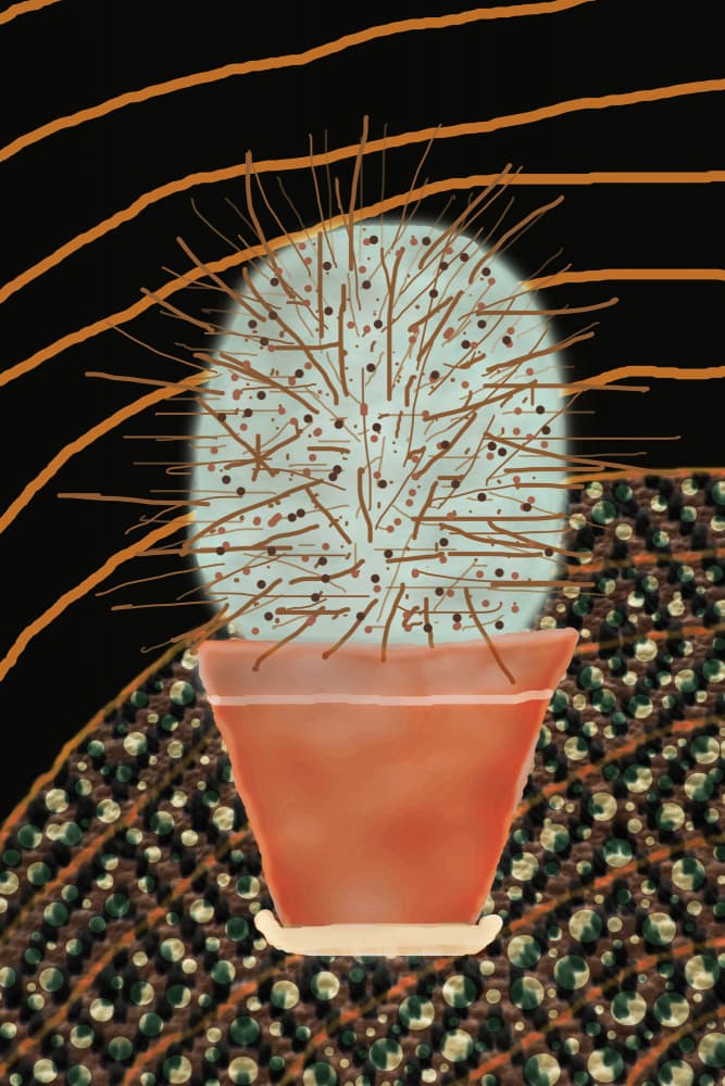 Abstract Potted Cactus by Christina Sillen — canvas wall art