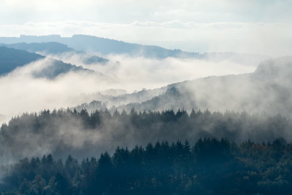 Misty Mountain Forest by Marleen Wijnen — canvas wall art