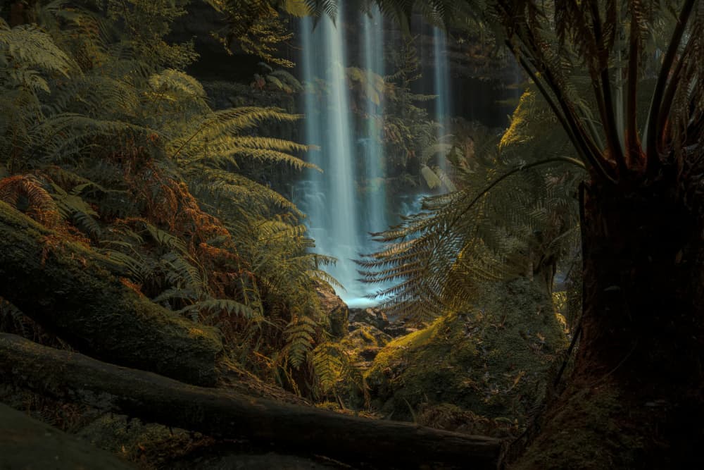 Lush Rainforest Waterfall by Christopher Perez Liedl — canvas wall art