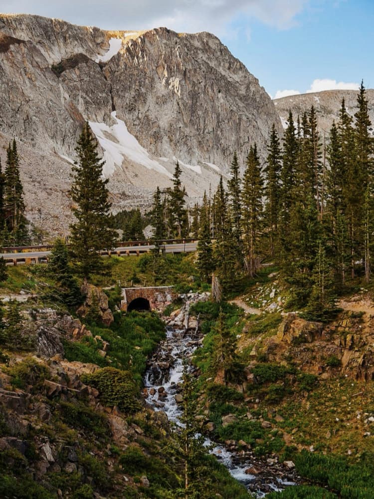 Majestic Mountain Stream by Del Mundo Imagery — canvas wall art