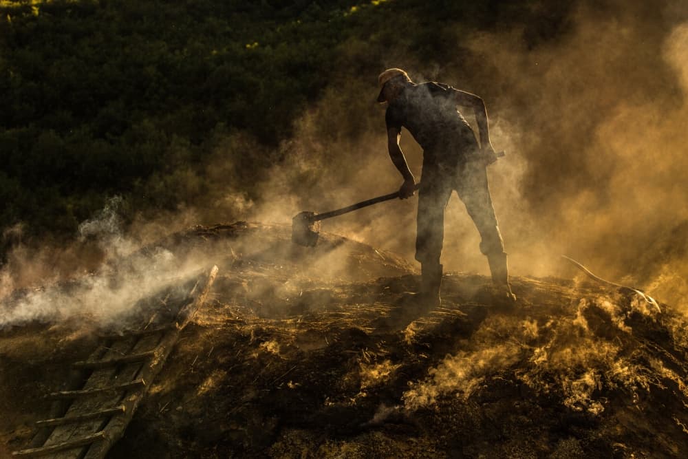 Smoky Golden Labor by Adrian Popan — canvas wall art