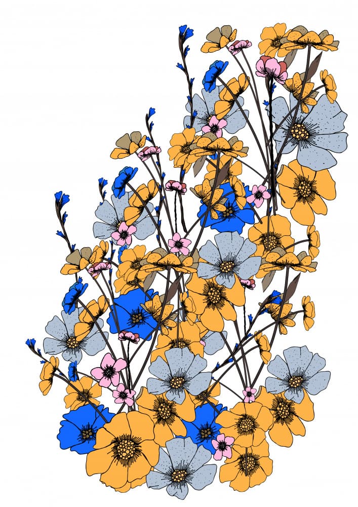 Vibrant Wildflower Mix by Nicholas — canvas wall art