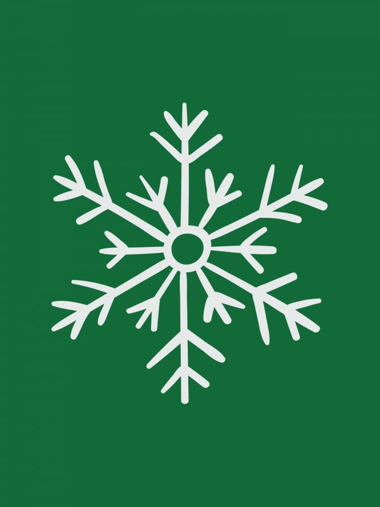 Green Christmas Snowflake by Jolly and Dash — canvas wall art