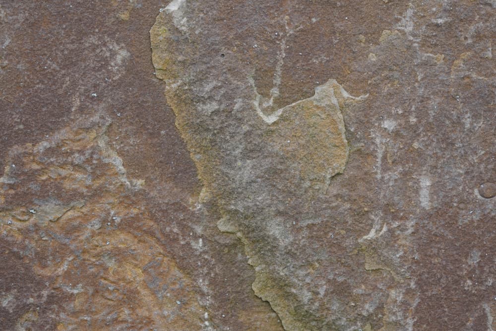 Organic Stone Texture by Bilge Paksoylu — canvas wall art