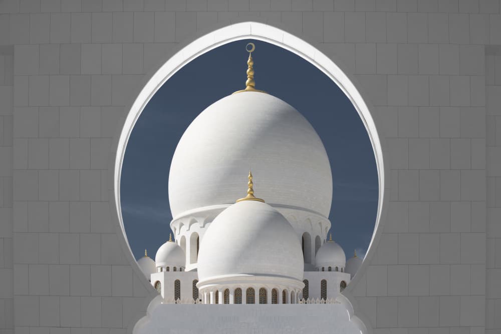 Grand White Mosque Domes by Xavier A — canvas wall art